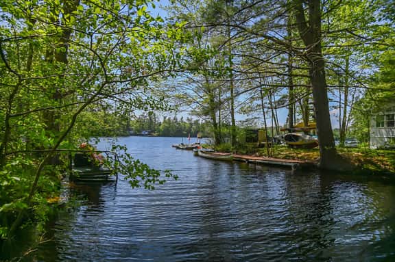 Cottage by the Pond